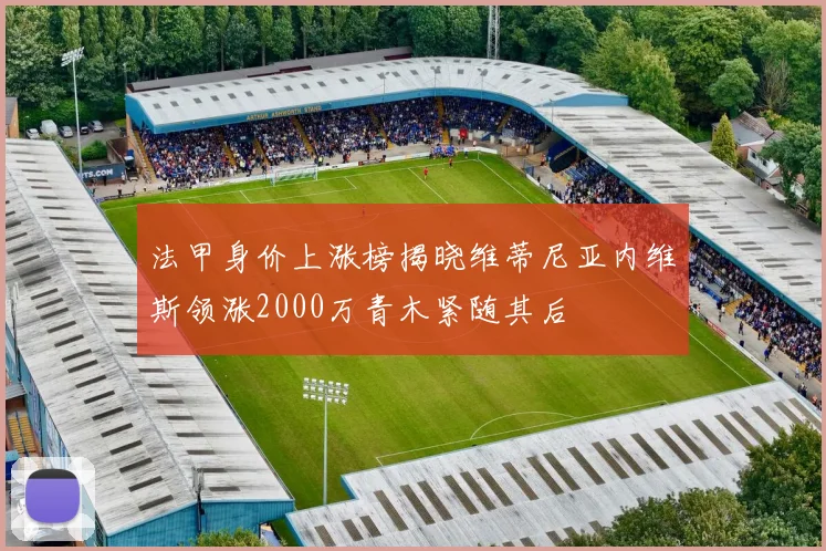 法甲身价上涨榜揭晓维蒂尼亚内维斯领涨2000万青木紧随其后