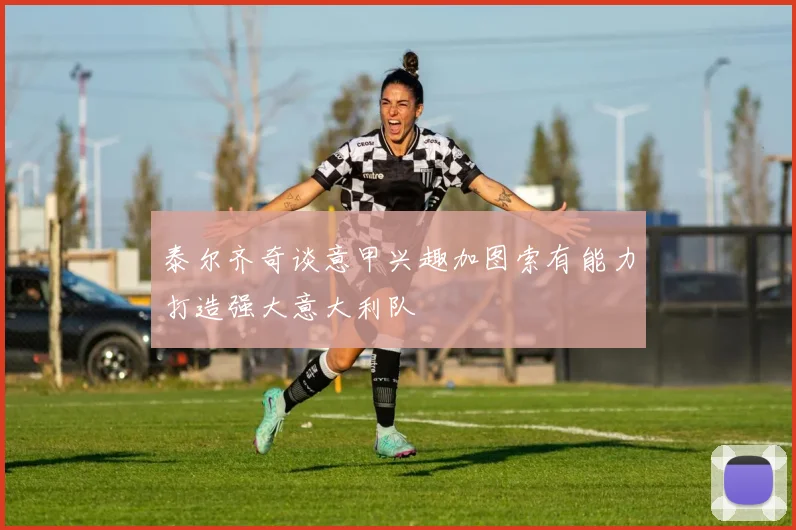 泰尔齐奇谈意甲兴趣加图索有能力打造强大意大利队